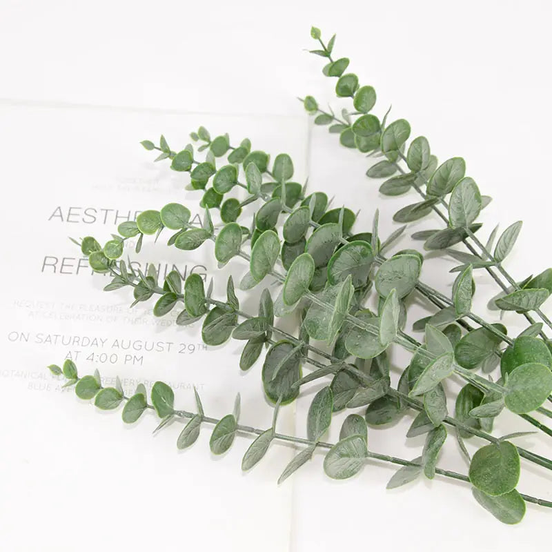 Eucalyptus Leaves