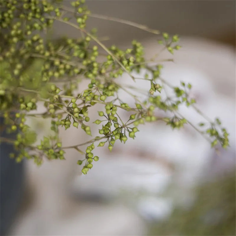 Natural Dried Branches - 10 Stems