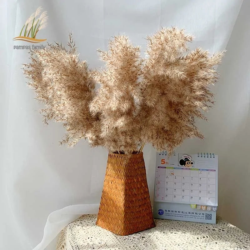 Dried Pampas Grass With Vase