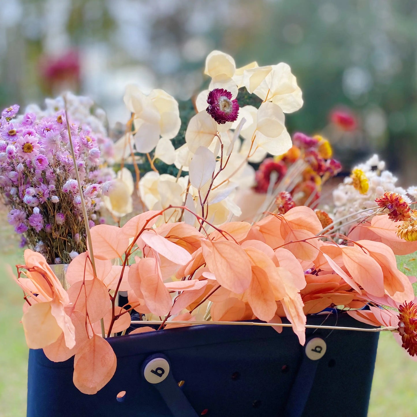 Freshly Preserved Eucalyptus Leaf Bunch