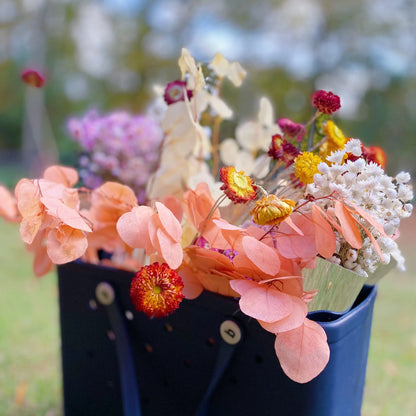 Freshly Preserved Eucalyptus Leaf Bunch