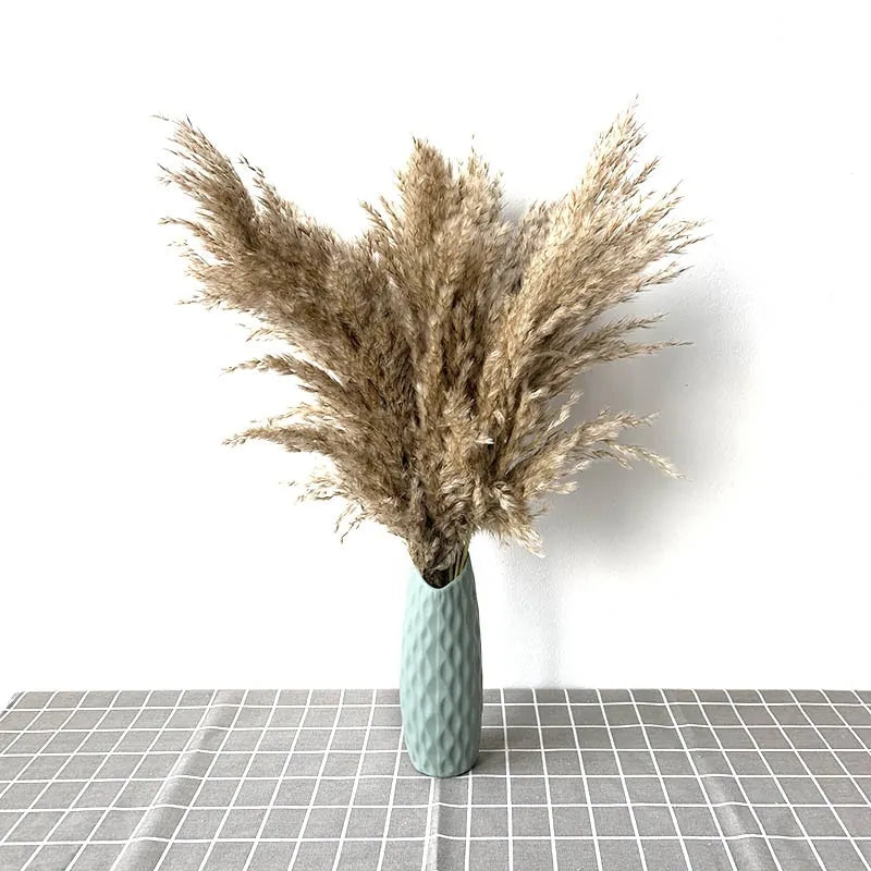 Dried Pampas Grass With Vase