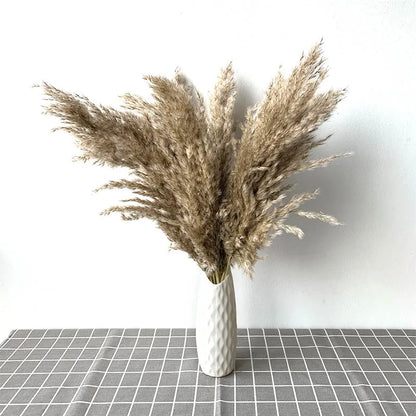 Dried Pampas Grass With Vase