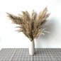 Dried Pampas Grass With Vase