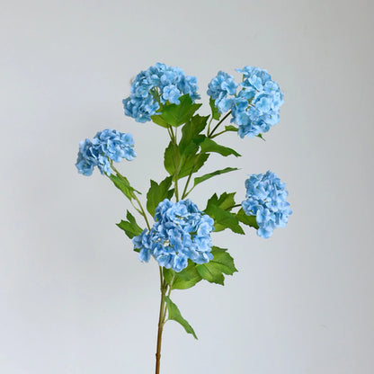 Snowball Flower Hydrangea