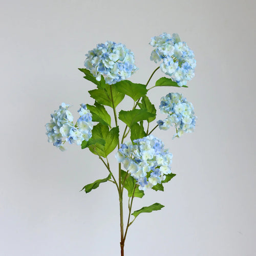 Snowball Flower Hydrangea