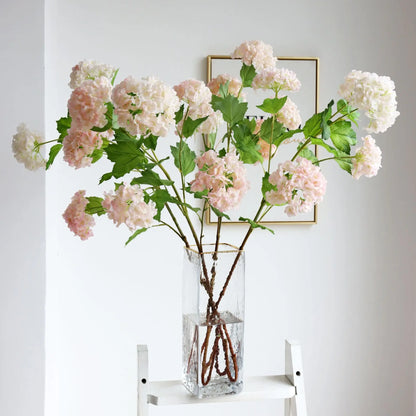 Snowball Flower Hydrangea