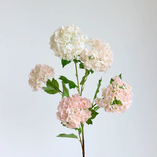 Snowball Flower Hydrangea