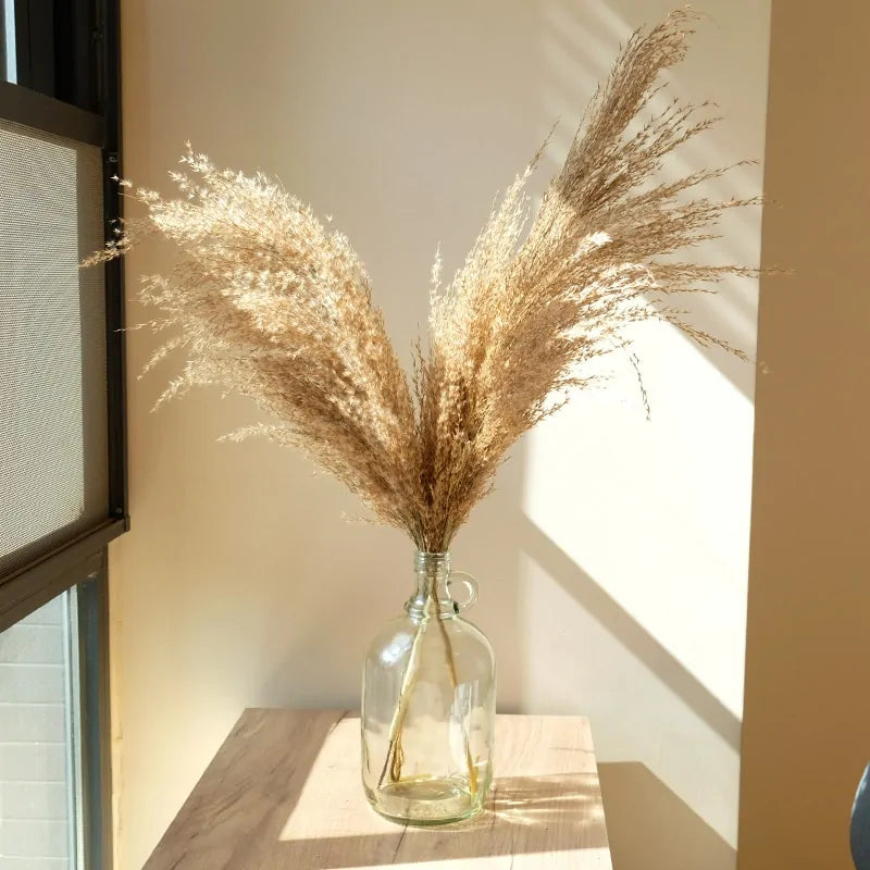 Dried Pampas Grass With Vase