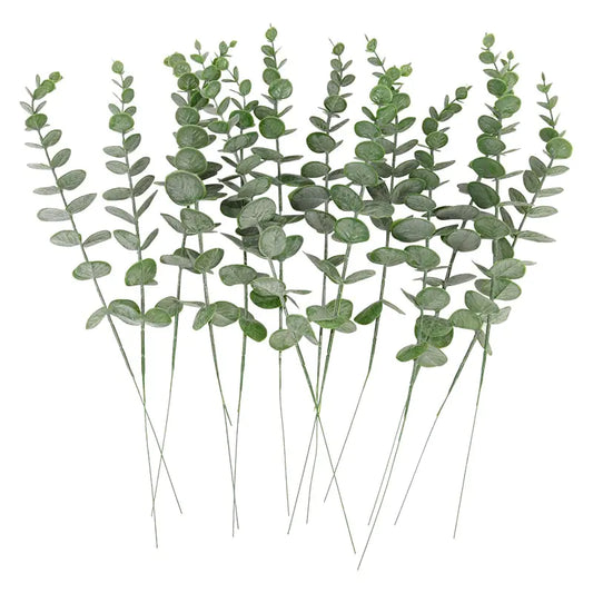 Eucalyptus Leaves