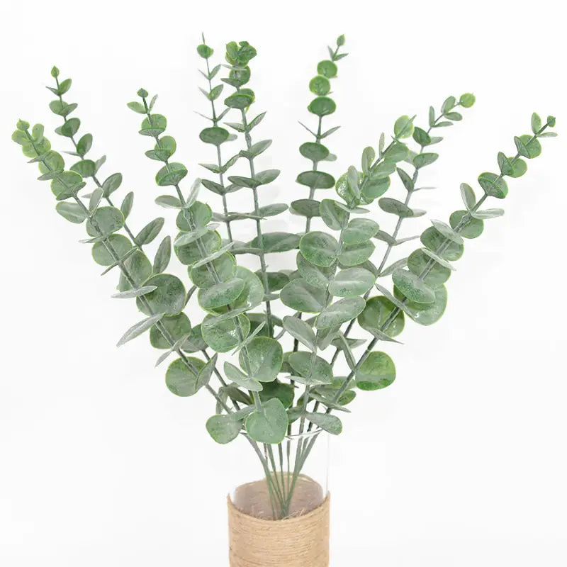 Eucalyptus Leaves