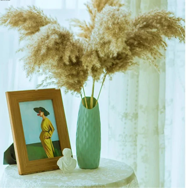 Dried Pampas Grass With Vase